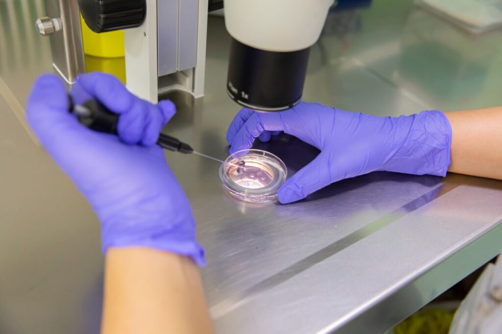 img-fiv-classica-fertilizacao-in-vitro-crad-reproducao-assistida-dra-isabela-siqueira-medica-fertilidade-dourados-ms
