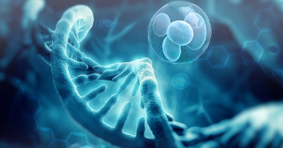 fiv-usada-prevenir-doencas-hereditarias-pgt-dra-isabela-siqueira-clinica-reproducao-humana-fiv-fertilizacao-in-vitro-dourados-ms