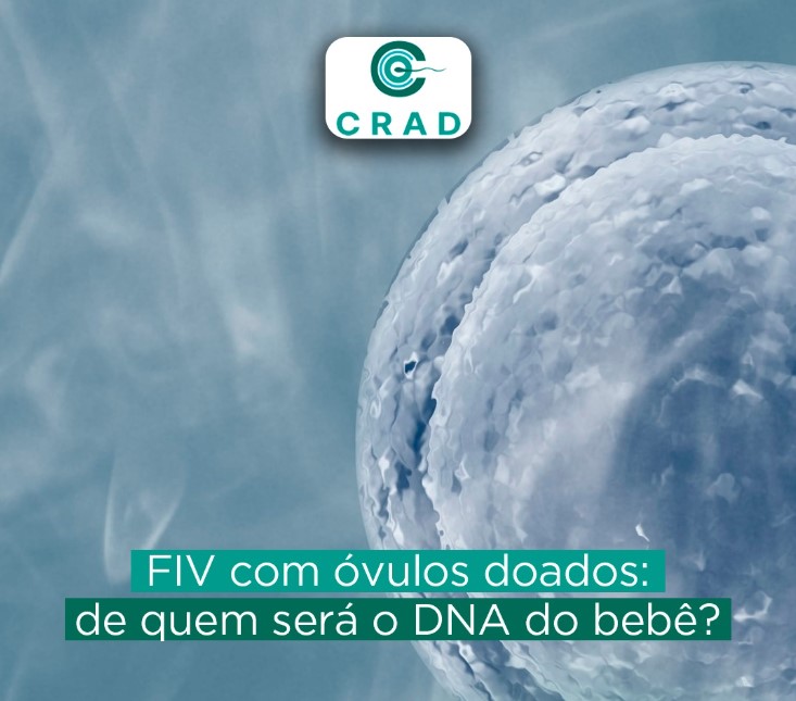 fiv-ovulos-doados-dra-isabela-siqueira-clinica-fertilidade-reproducao-humana-fiv-fertilizacao-in-vitro-dourados-ms